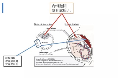 检测技术